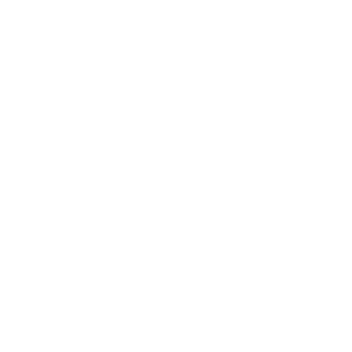 Coral Cactus Videography logo